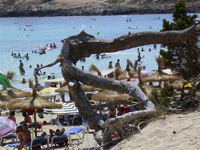 CalaRajadaMallorca (4).JPG